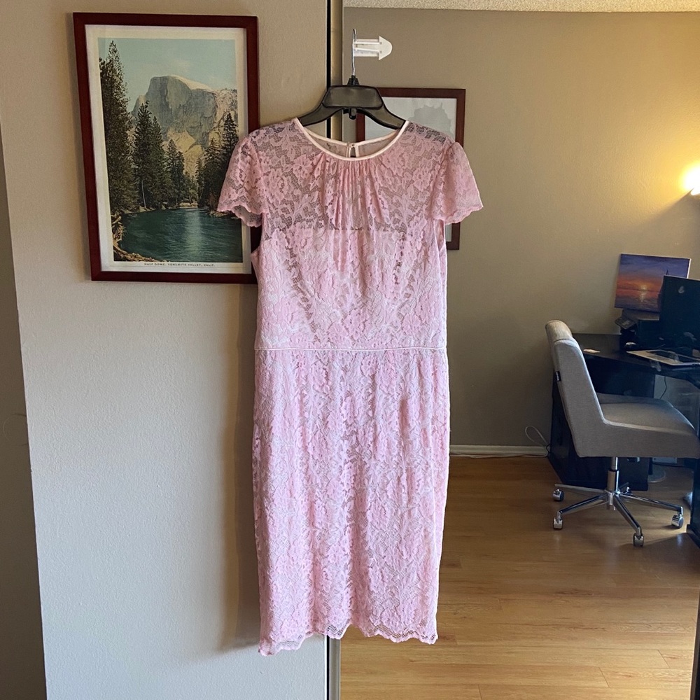 MAGGY LONDON - blush pink lace dress - sz 12 NWOT